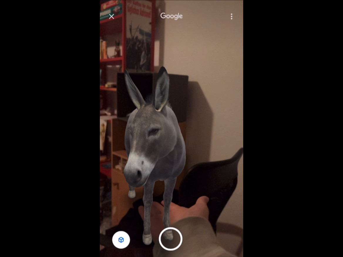 Der Esel hat ein Problem.