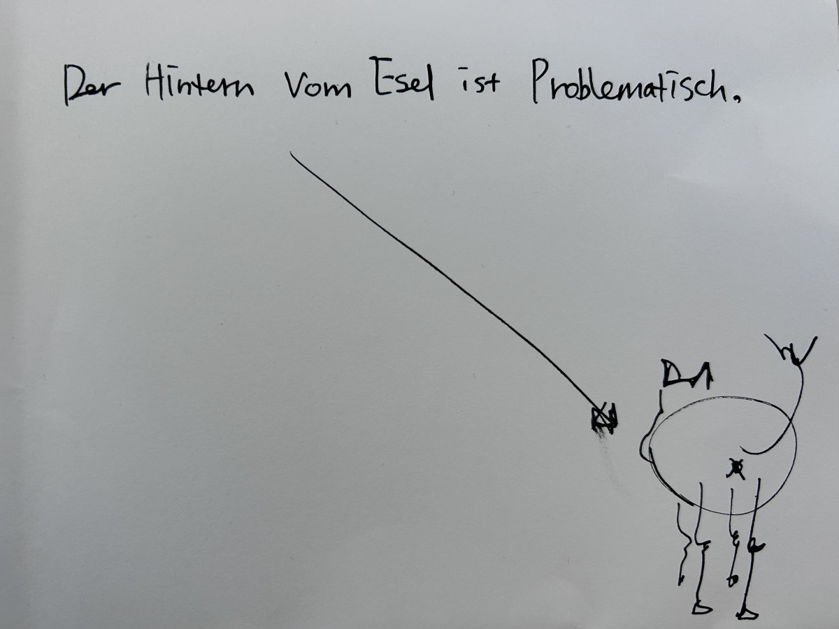 Der Esel hat ein Problem.