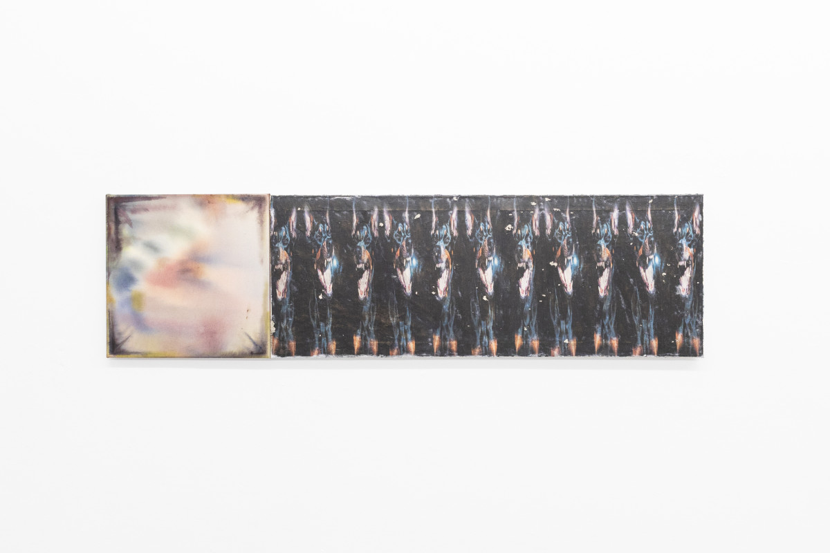 von Zäunen, Pferden, Hunden und der Familie M.