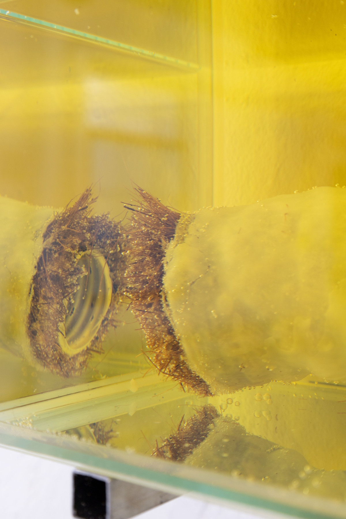 Tiefstart, Drain, barren