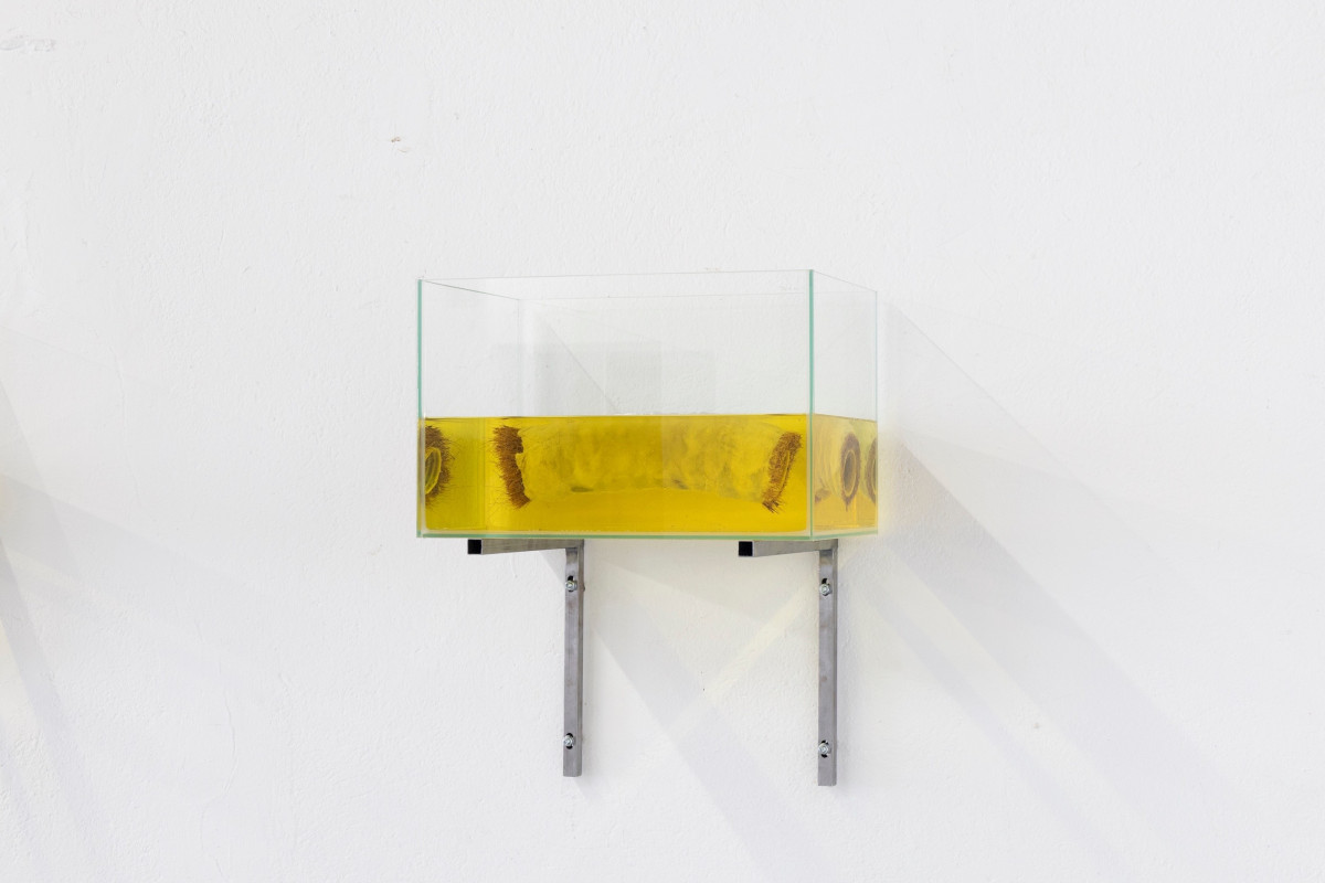 Tiefstart, Drain, barren