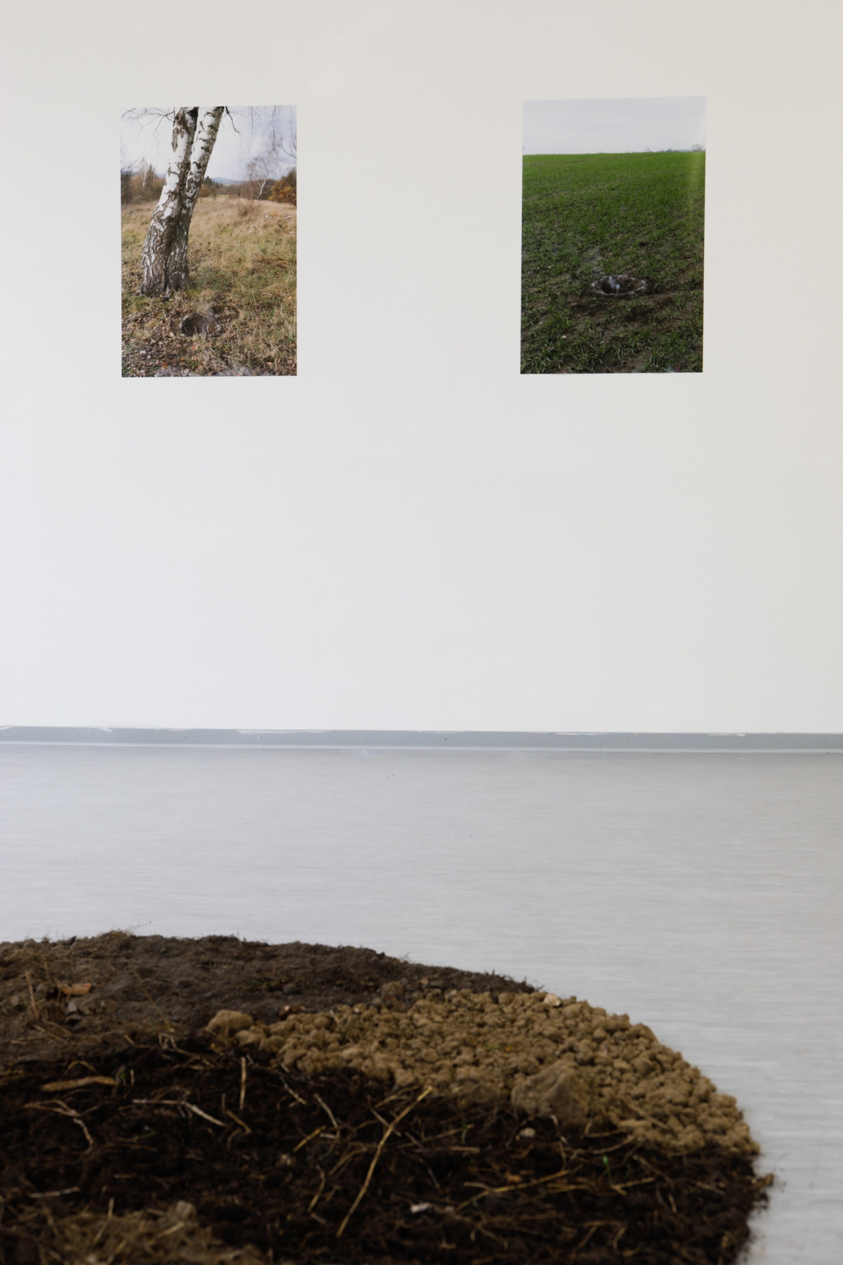 *Gertrud*Helmut*Charlotte*Reinhard*Käthe*Anton*Wilhelmine*Willy