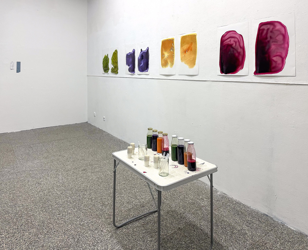 CHROMA. Hiems Legumina