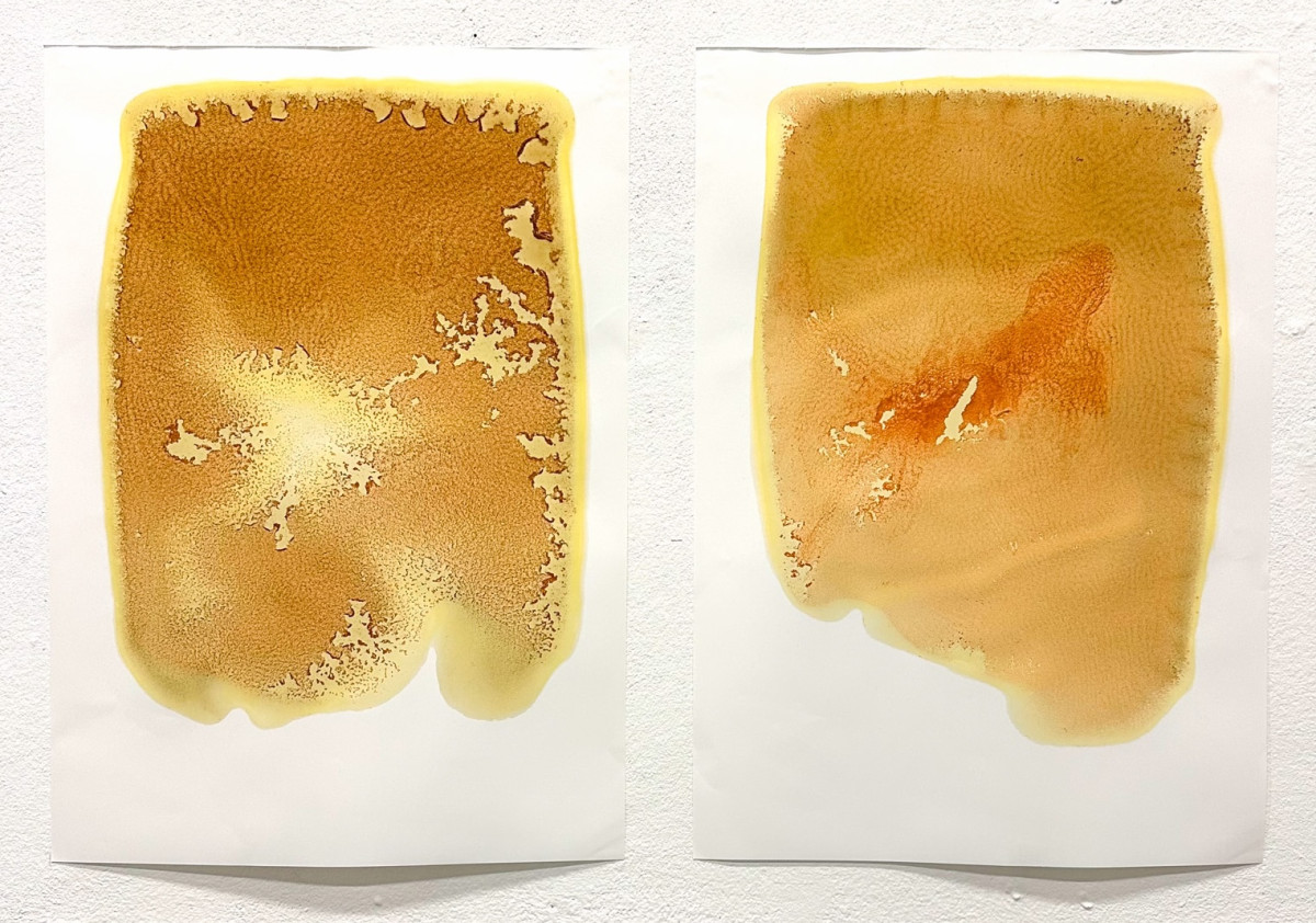 CHROMA. Hiems Legumina