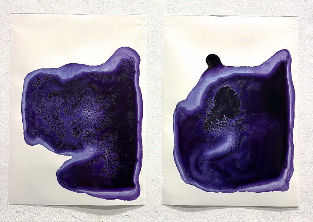 CHROMA. Hiems Legumina