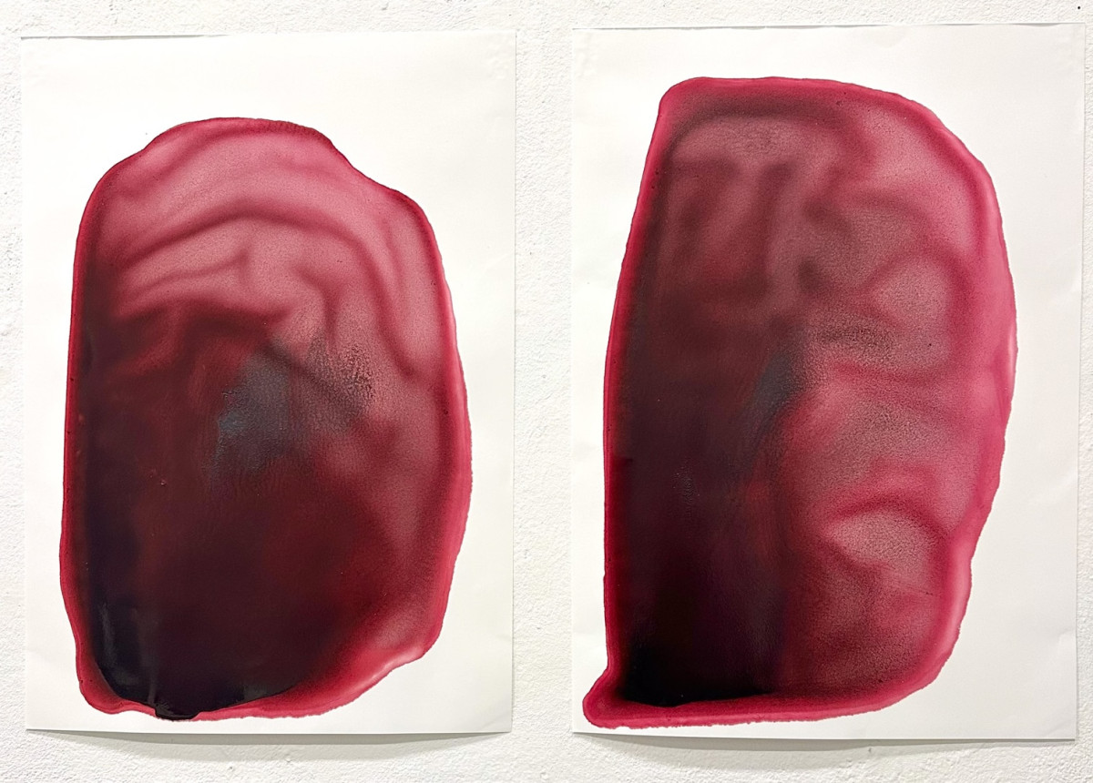 CHROMA. Hiems Legumina