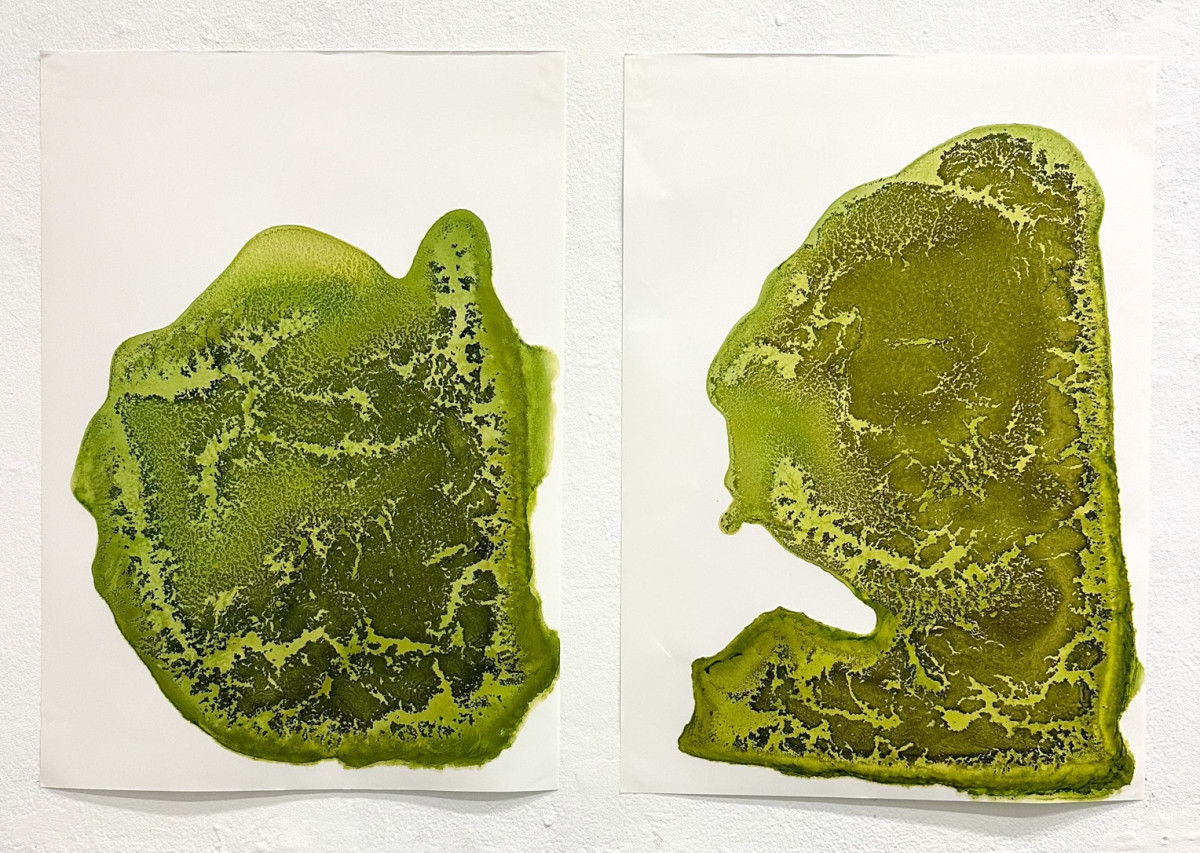 CHROMA. Hiems Legumina