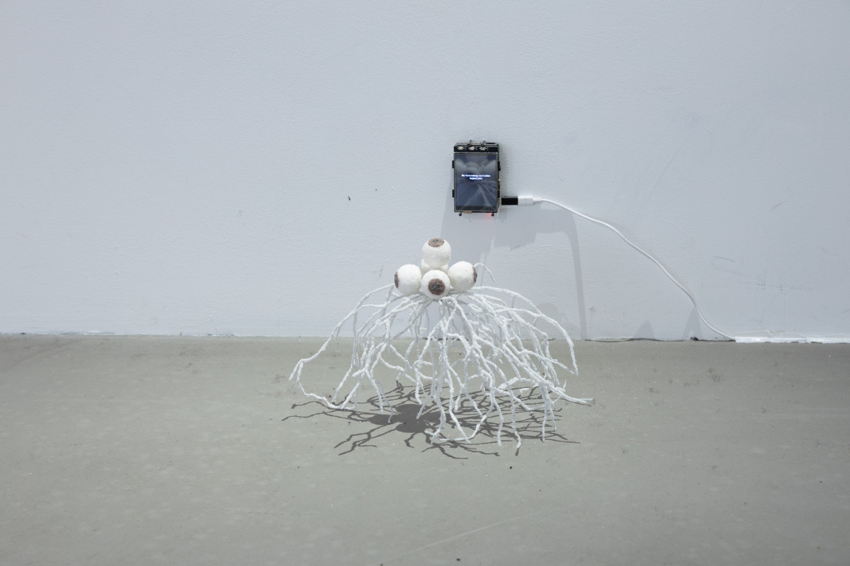 Können Sie alles richtig sehen.