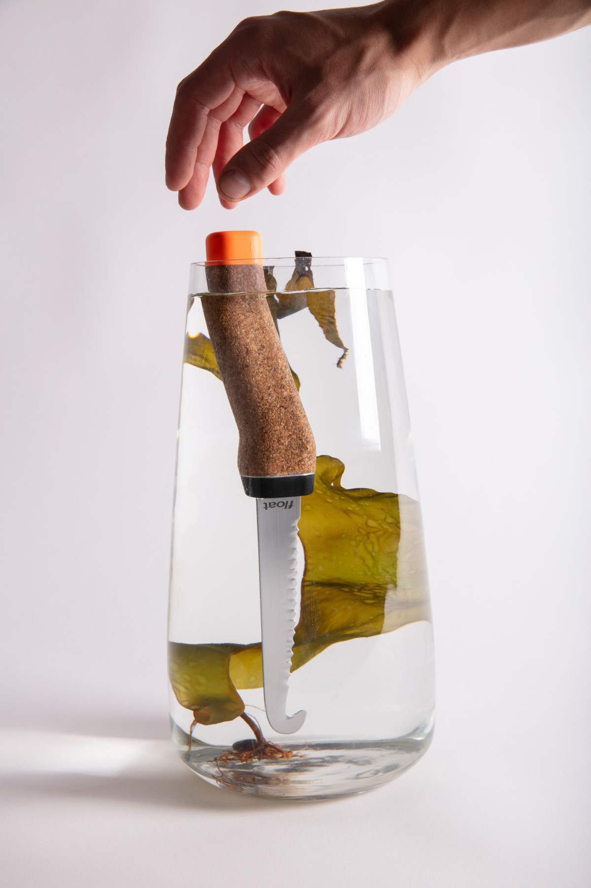 float - Kelp Harvesting