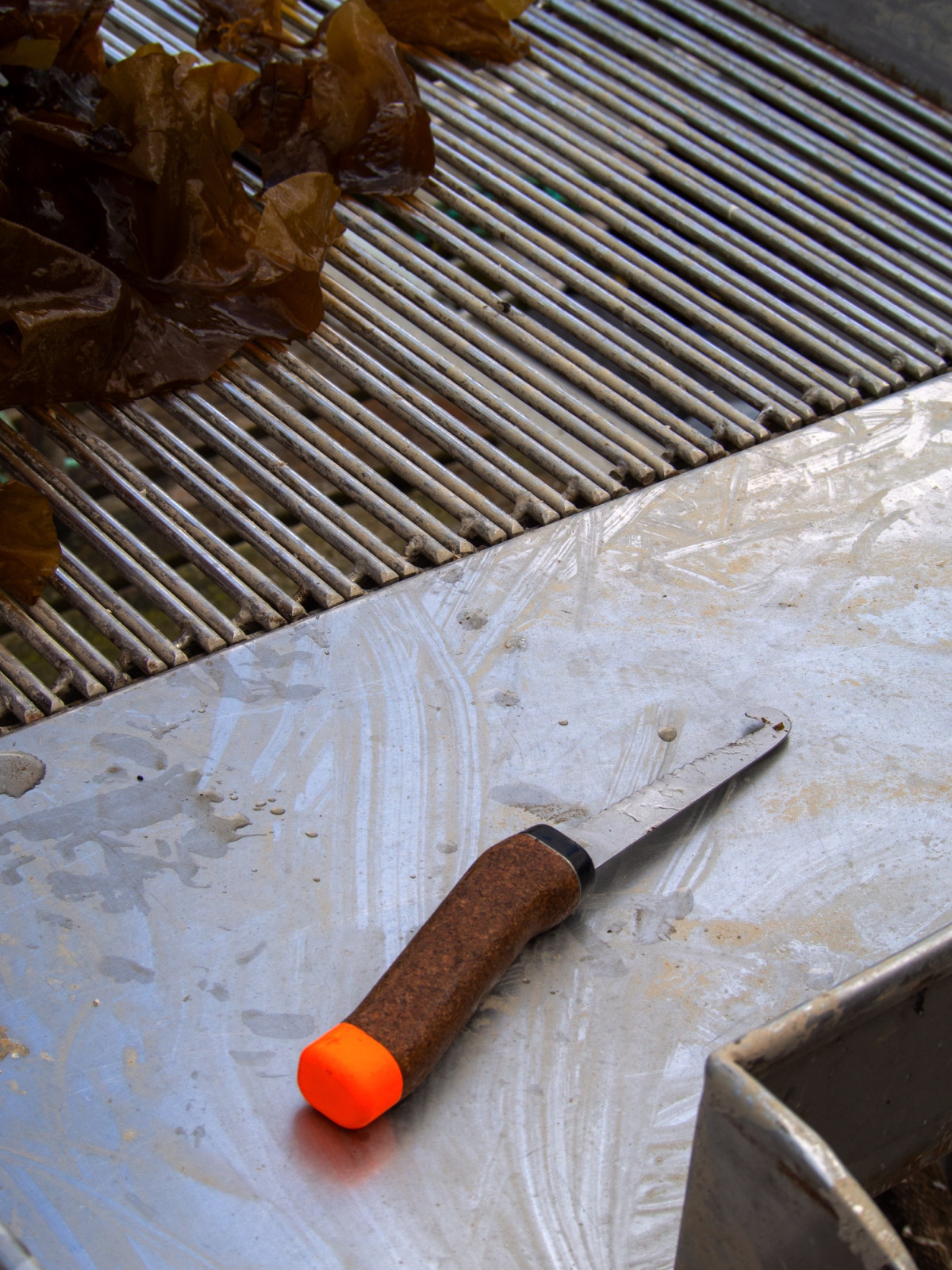 float - Kelp Harvesting