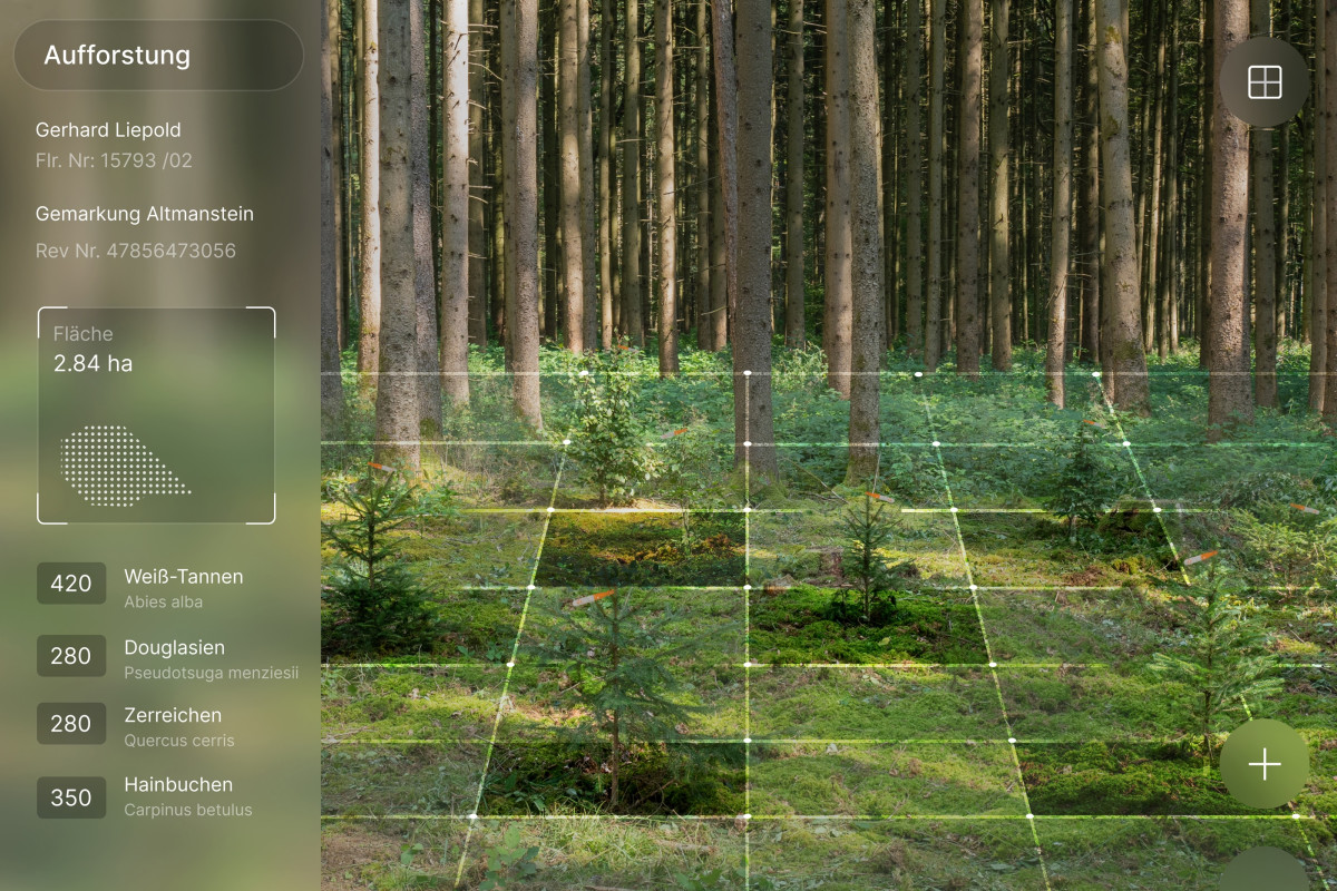 Abora - Biodiversität und Umweltmonitoring in der Aufforstung