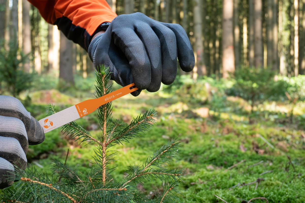Abora - Biodiversität und Umweltmonitoring in der Aufforstung