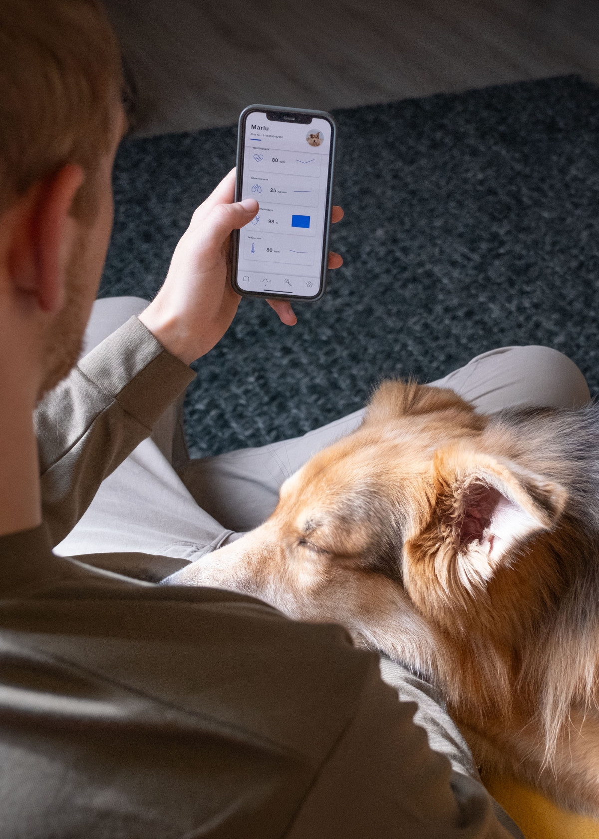 LinguPet - Messkonzept für die tierärztliche Fernbetreuung von Hunden und Katzen