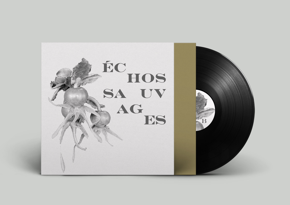 Plattenlabel Erscheinungsbild