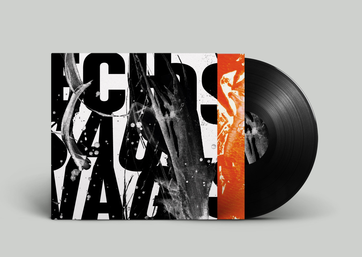 Plattenlabel Erscheinungsbild