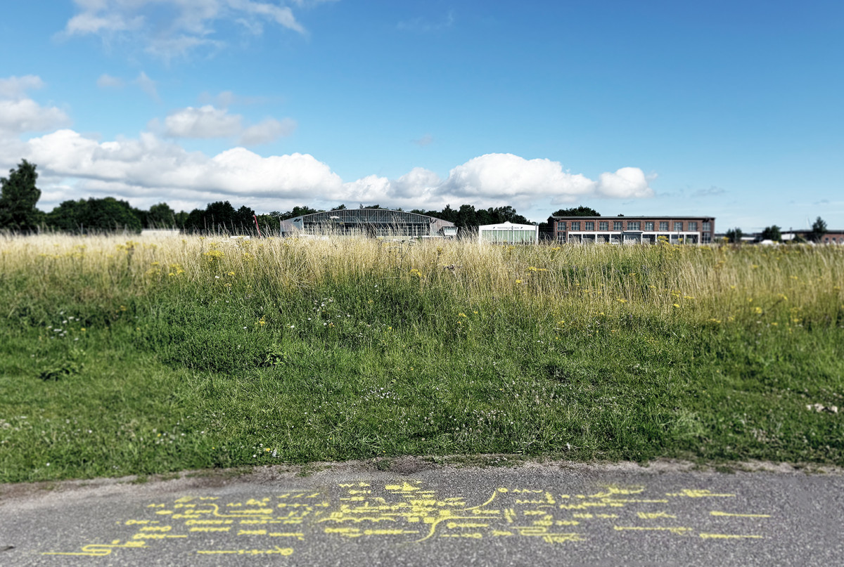 Das Echo der Küstenlinie