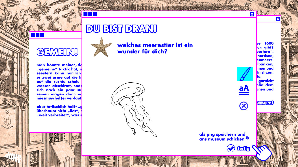 gestalte (entdecke) gottorfs wunderkammer