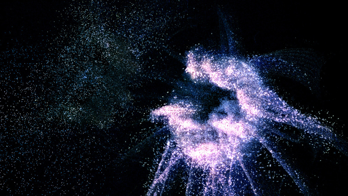 Wundertheater des Meeres