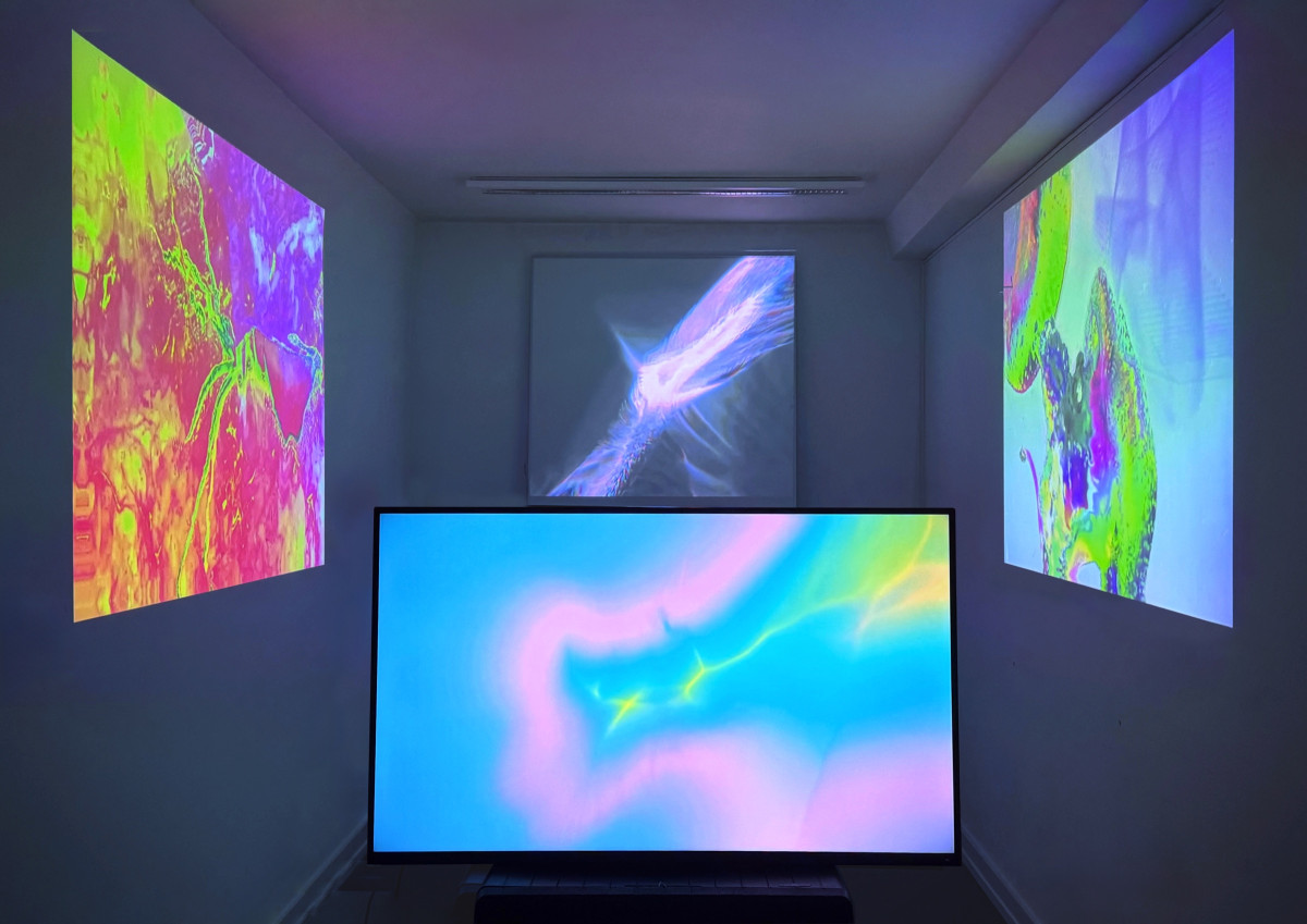 Wundertheater des Meeres