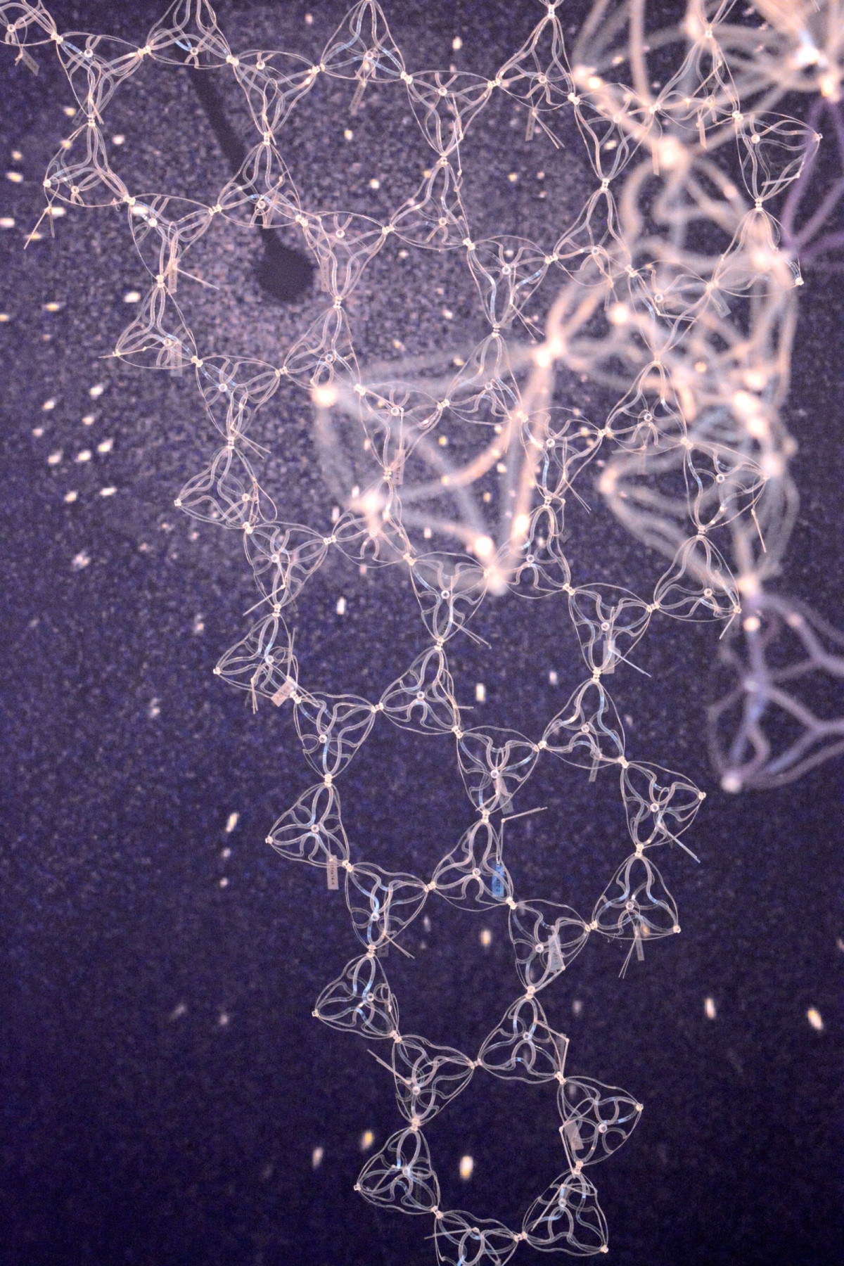 kristallin - amorph - kristallin