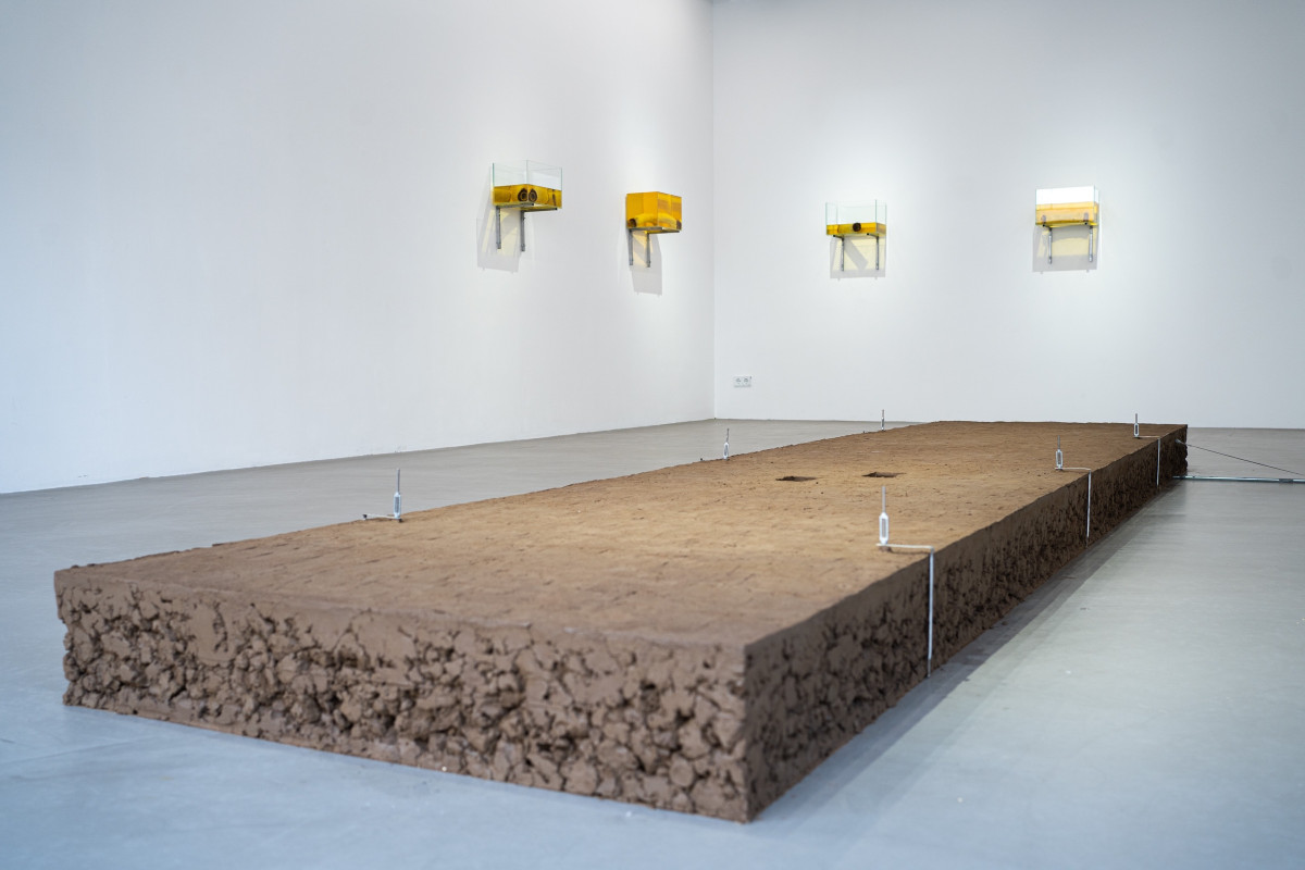 Arthur-Petersen-Preis 2024