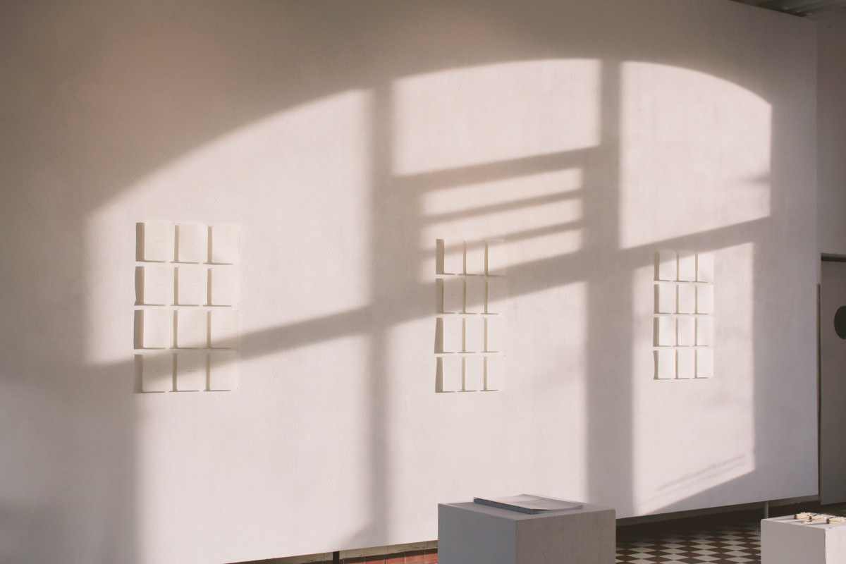 Dritte Phase: Muthesiusprojekte und Promotionen