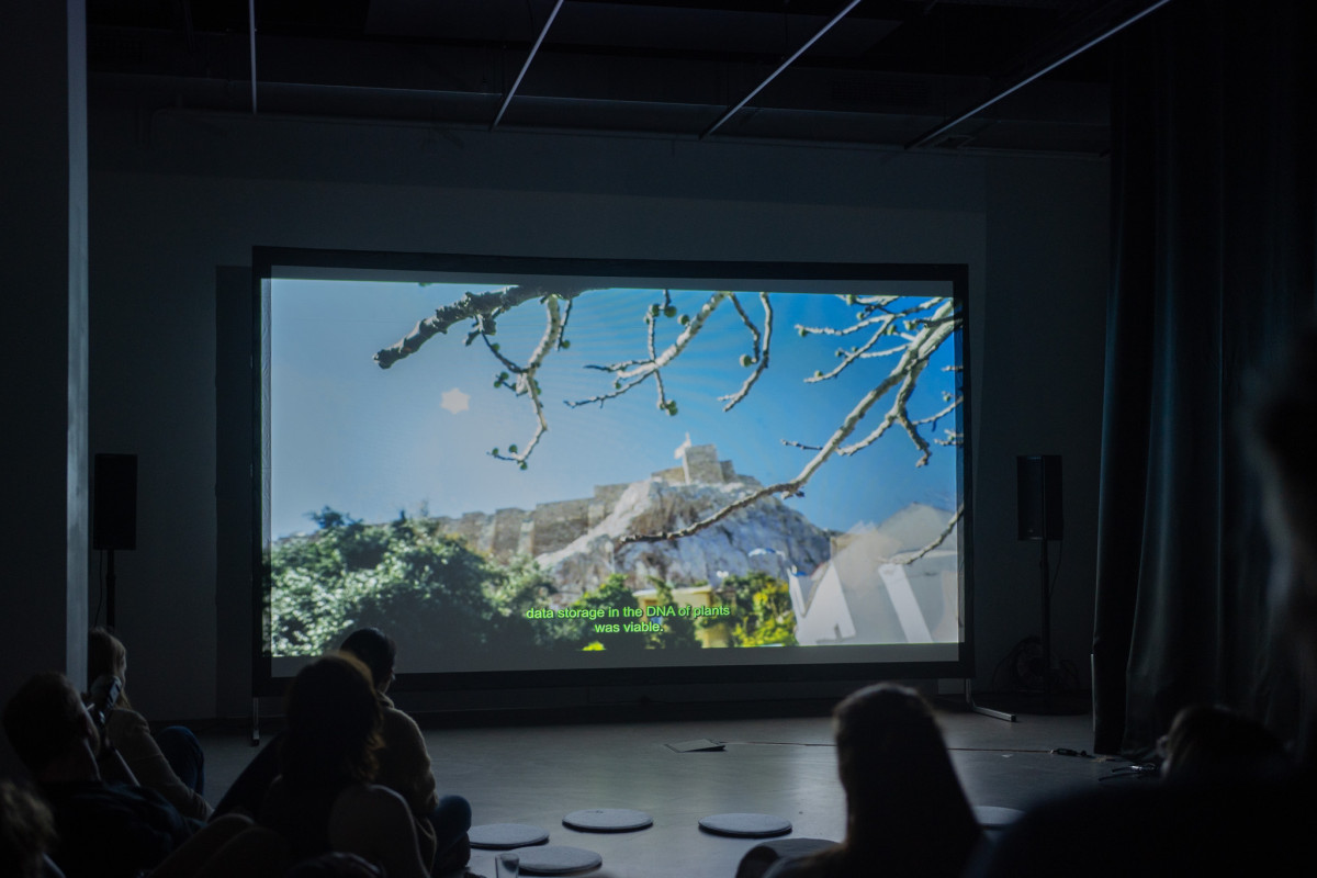 Artist Talks & Screenings