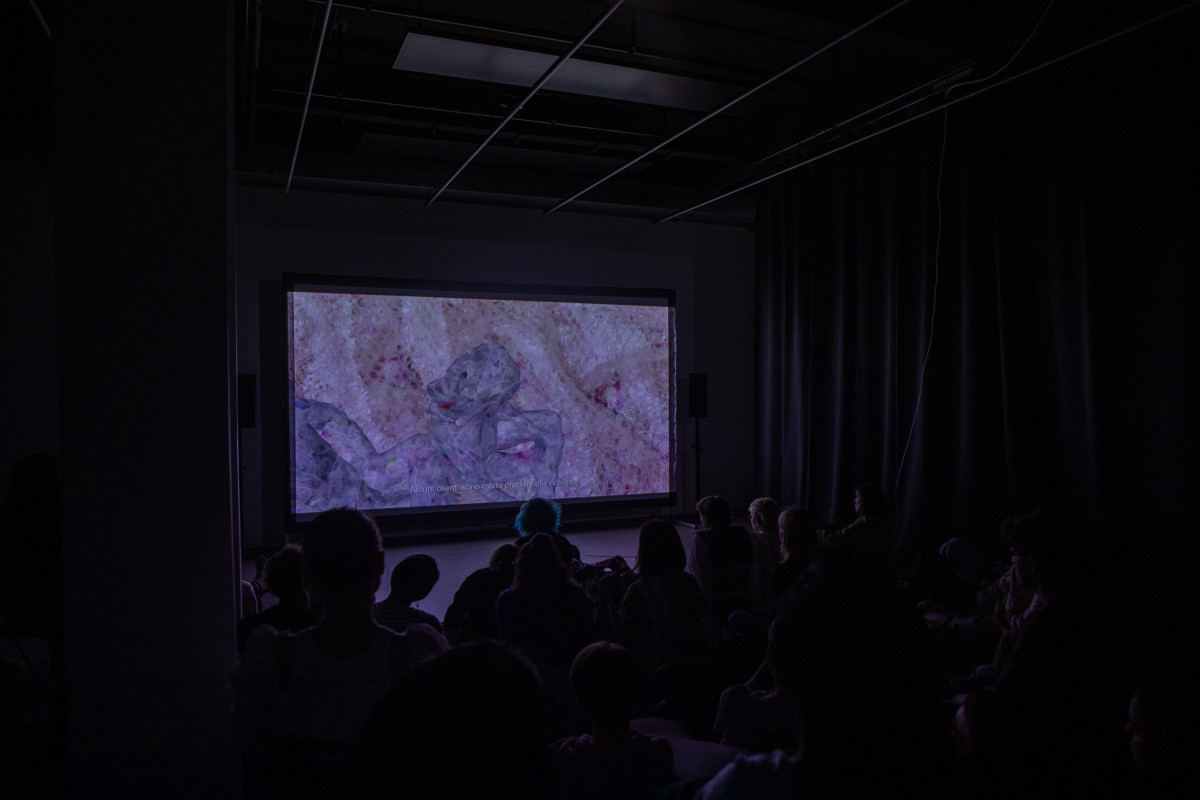 Artist Talks & Screenings