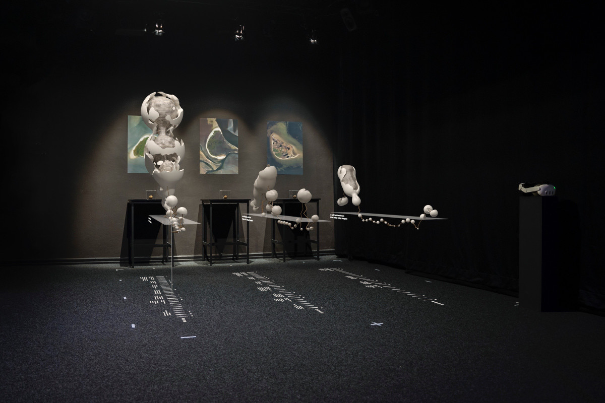 OVUM – pollution shaped