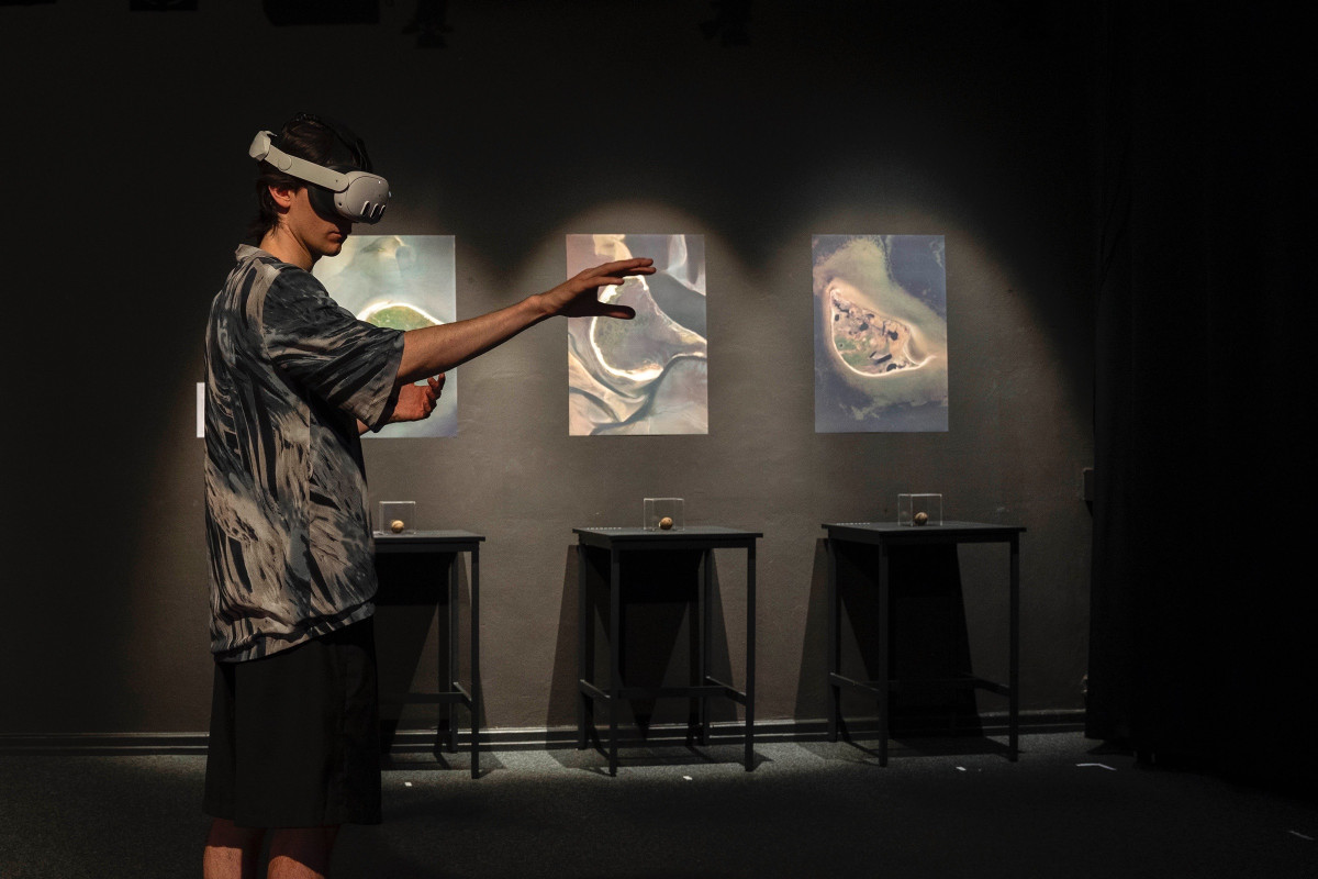 OVUM – pollution shaped